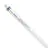 Philips Tube LED T5 MASTER (HF) High Efficiency 8W 1050lm - 840 Blanc Froid | 55cm - Équivalent 14W