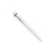 Philips MASTER LED T8 Conventional (EM), Mains (AC) High Output T8 11.3W 2000lm - 830 Blanc Chaud | 120cm - Équivalent 36W