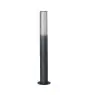 Ledvance LED Borne Endura Style Flare Foncé Gris 7W 470lm - 830 Blanc Chaud | 60cm
