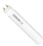 Osram Tube LED T8 SubstiTUBE Value (HF) Standard Output 8W 800lm - 865 Lumière du Jour | 60cm - Équivalent 18W