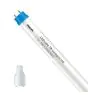 Philips Tube LED T8 CorePro (EM/Direct 230V) Ultra Output 21.5W 2400lm - 840 Blanc Froid | 120cm - Équivalent 36W