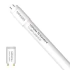 Noxion Tube LED T8 Avant (EM/Direct 230V) Standard Output 17.5W 1800lm - 830 Blanc Chaud | 120cm - Équivalent 36W