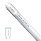 Noxion Tube LED T8 Avant Extreme (EM/Direct 230V) Ultra Output 20.6W 3300lm - 840 Blanc Froid | 150cm - Équivalent 58W